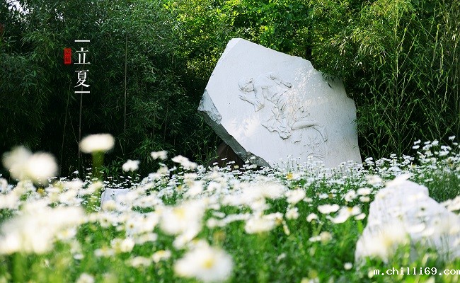 20180319152144335776605311.jpg 07立夏.jpg